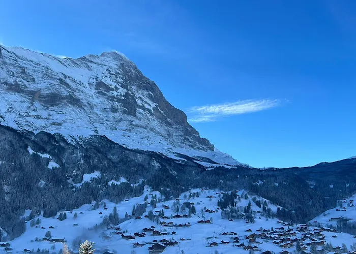 Hotel Jungfrau Lodge, Annex Crystal 3*